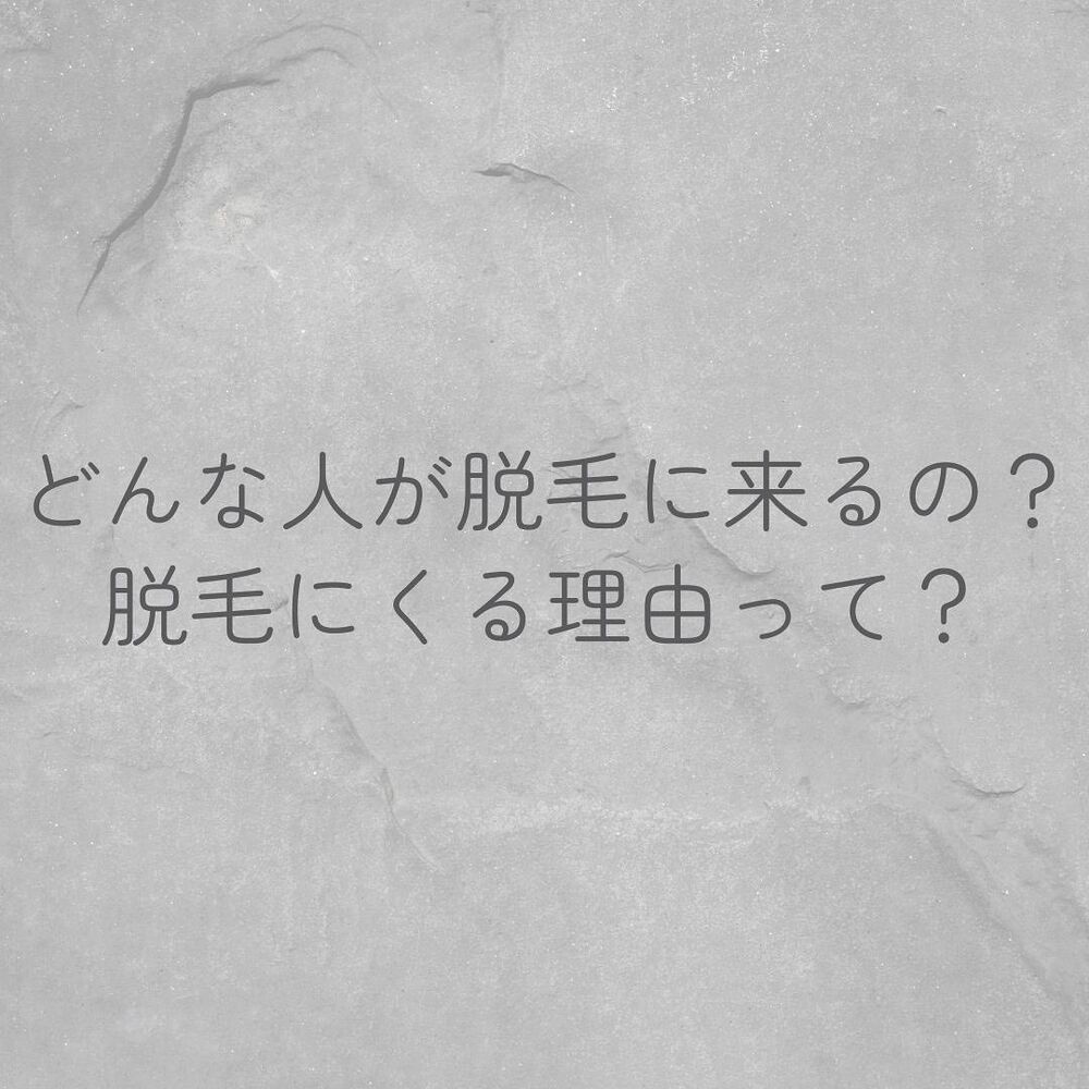 画像1313