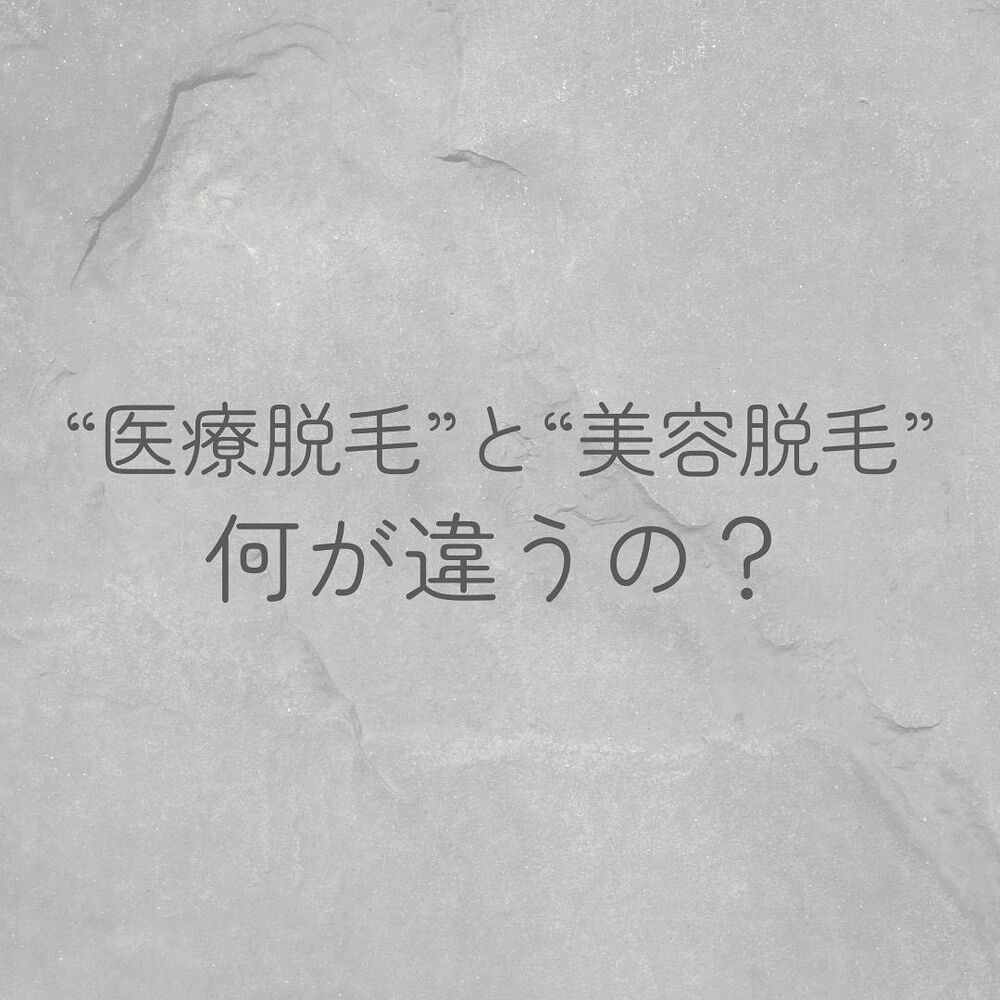 画像1324