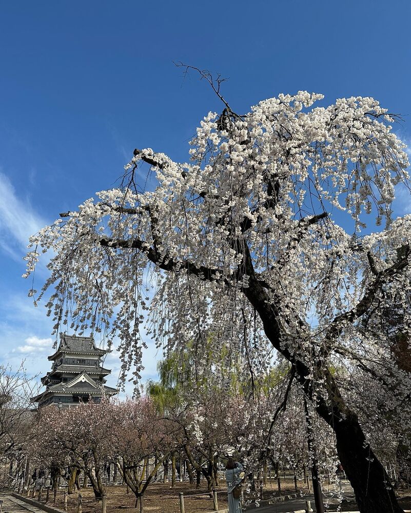 画像1334