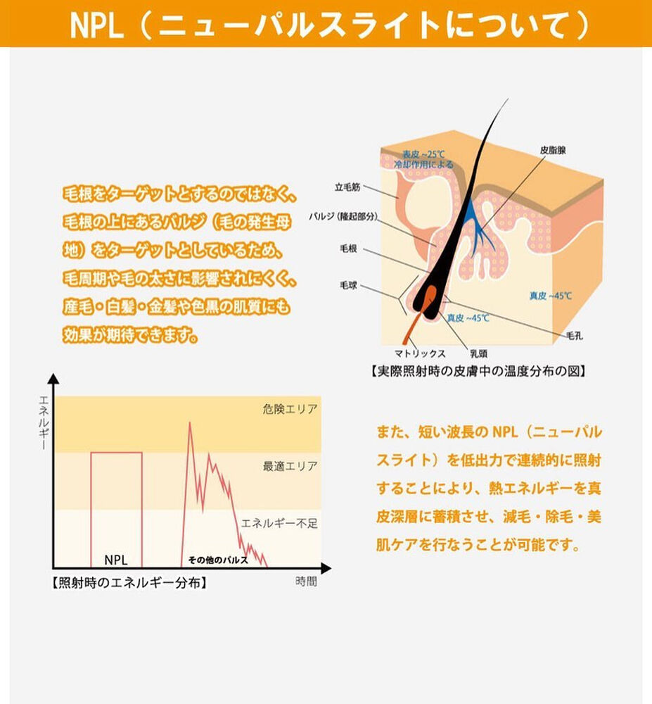 画像1351